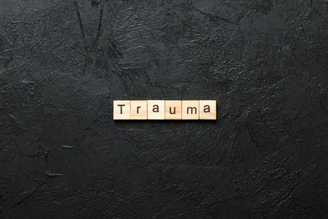  Thérapie traumatismes Lagny-sur-Marne